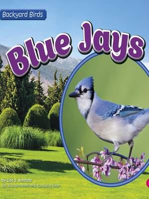 cover image of Blue Jays